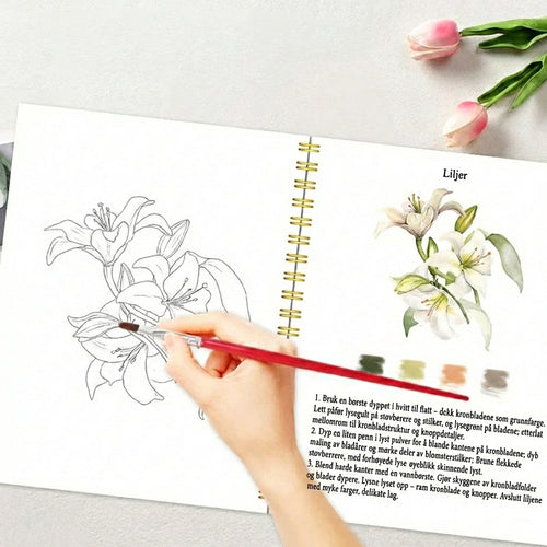 Komplett sett for akvarellmaling